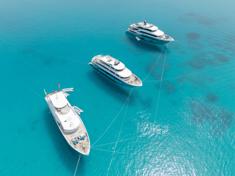 KITE & WING SAFARI <br>EGITTO