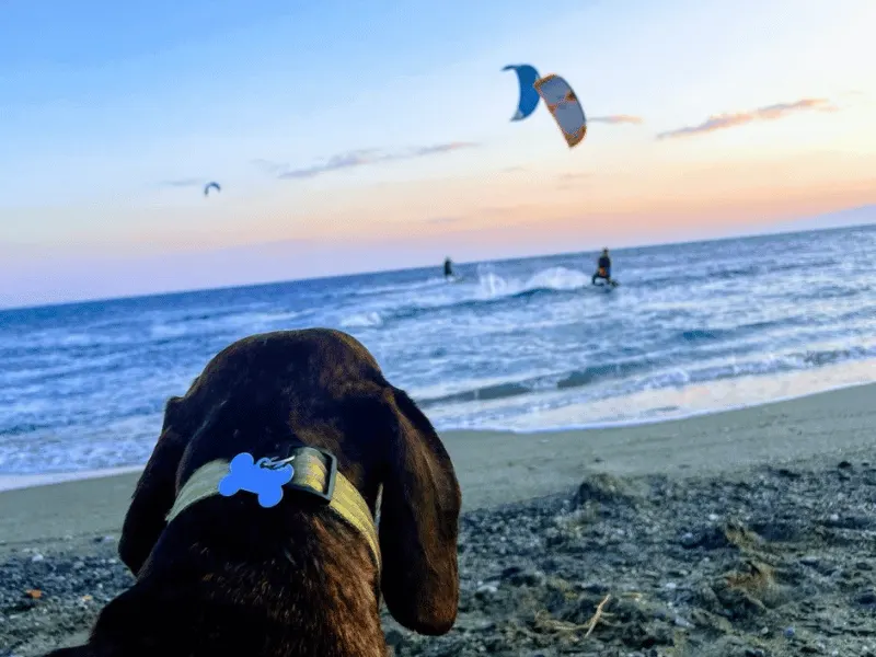Das Wind- und Meer-Ritual