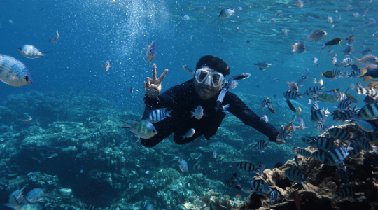 Aperitivo al Tramonto in Barca a Vela